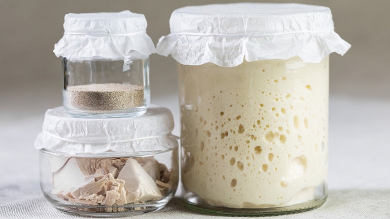Yeast in different forms