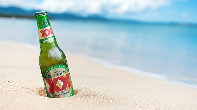 Bottle of Dos Equis Mexican Lager partially buried in sand