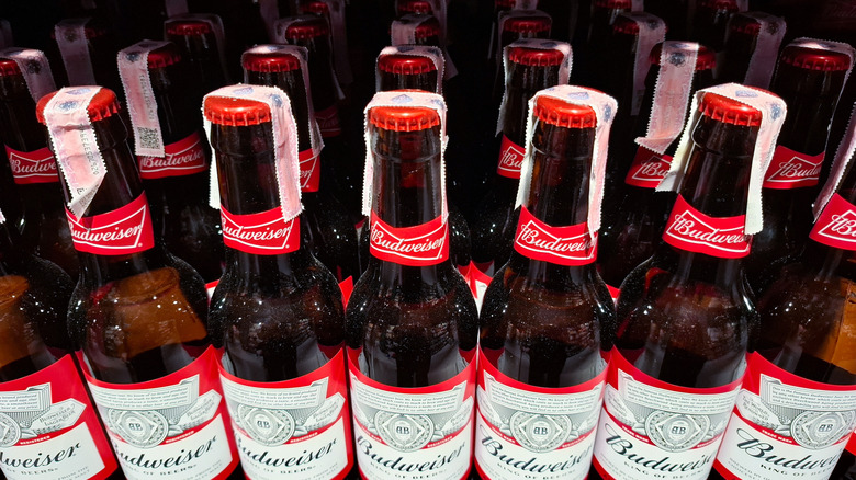Close-up photo of glass bottles of Budweiser lined up on a shelf
