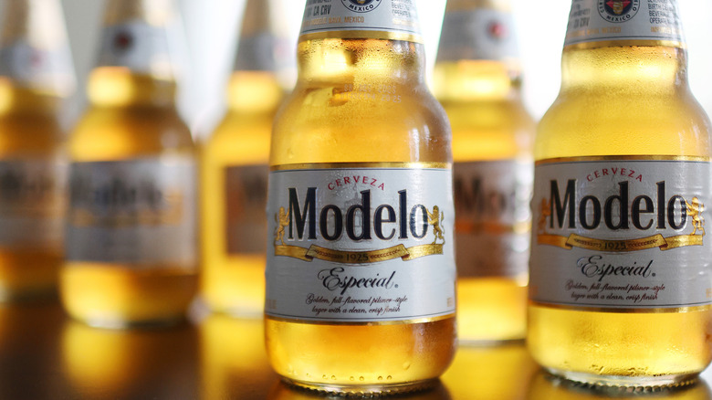 Close-up photo of two glass bottles of Modelo beer