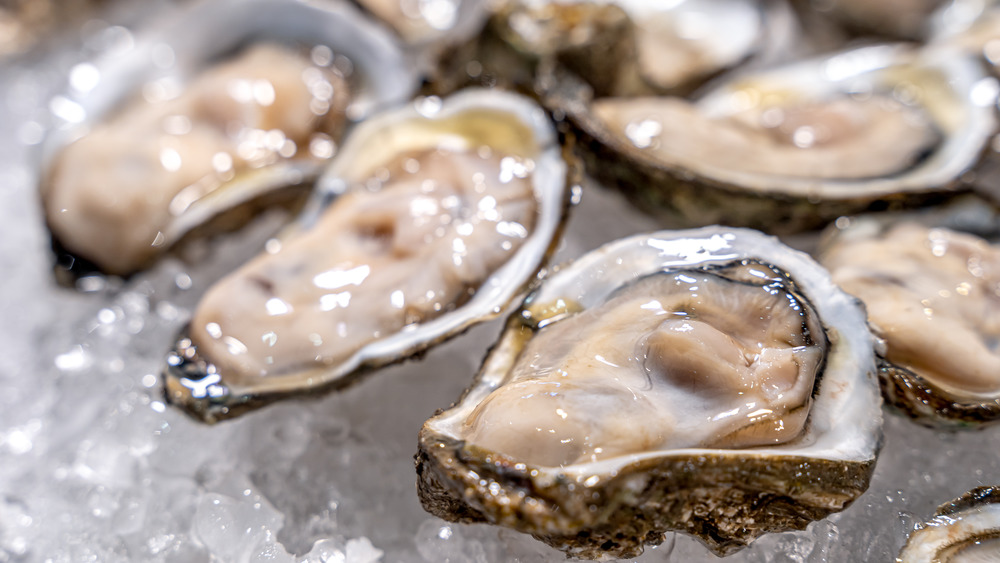 oysters