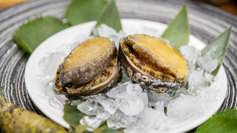 Two raw abalones elegantly plated with ice