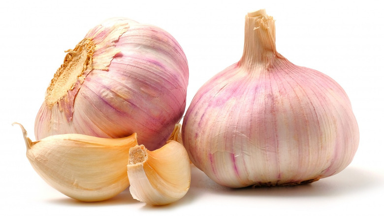 Garlic