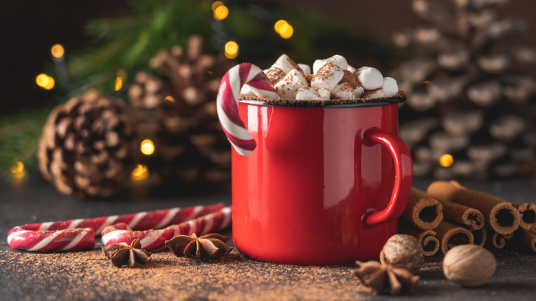 festive hot chocolate with candy canes