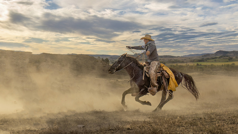 cowboy on horseback galloping across a dusty plateau