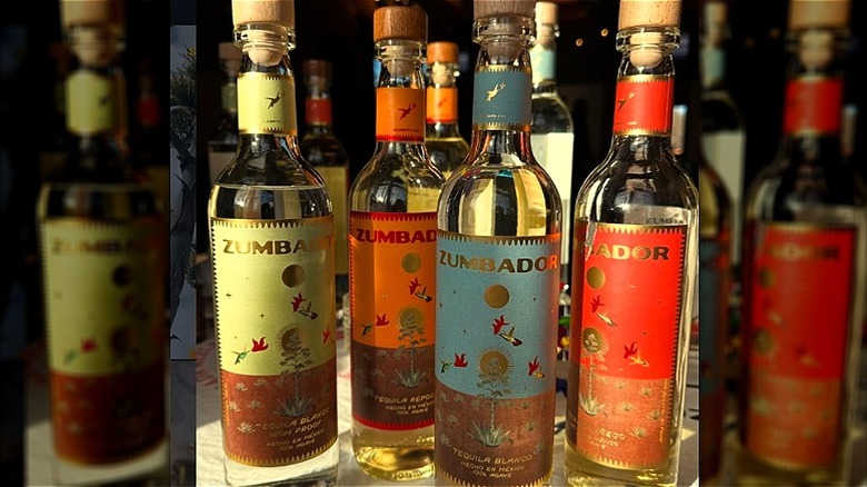 A bottle of Zumbador tequila blanco among three other varieties.