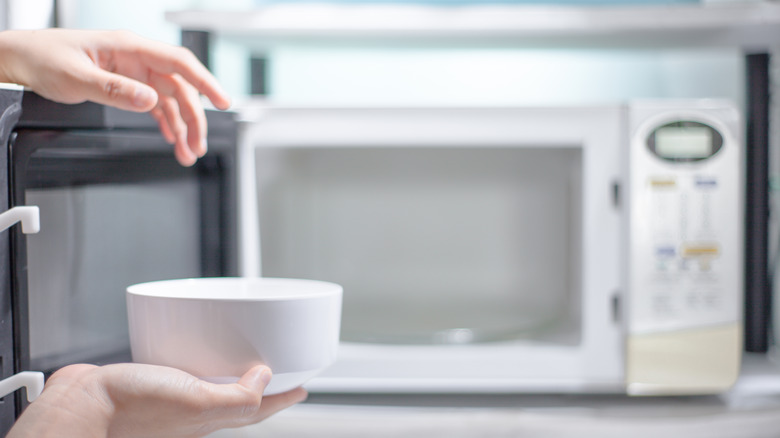 Person putting bowl in microwave