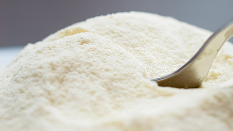 Close-up on powdered milk with spoon
