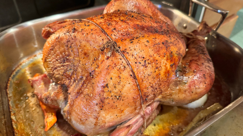 dry brined roasted turkey out of the oven in pan