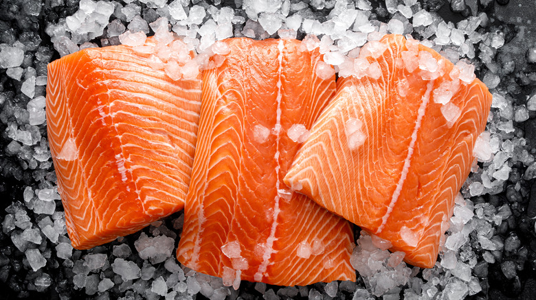 salmon fillets on ice