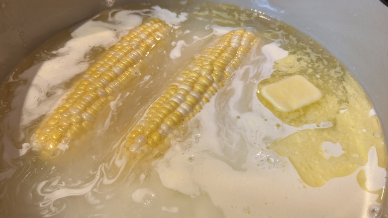 Two ears of corn in a milk and butter bath in a pot