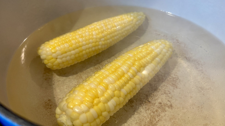 Two corn cobs in a pot of water