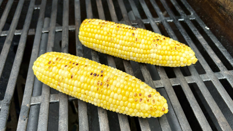 Two corn cobs on a hot grill