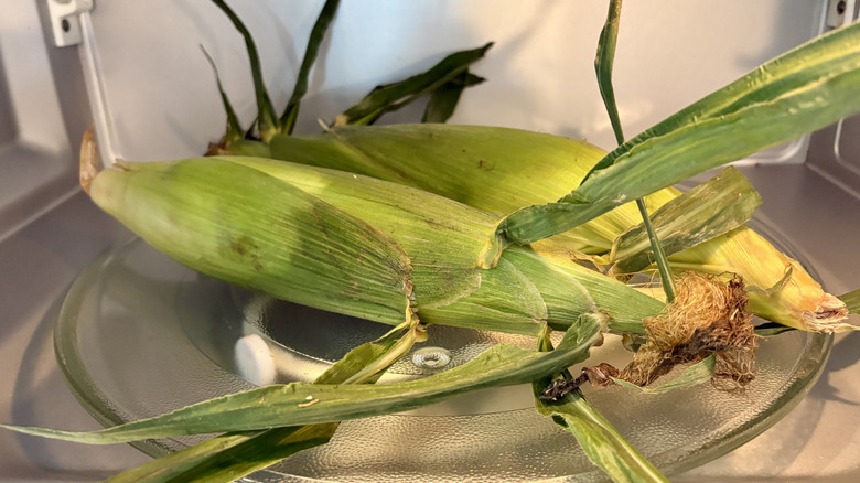 Two unshucked ears of corn in the microwave