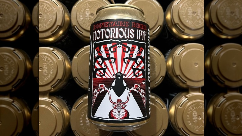 Notorious IPA can resting on packs of canned beer