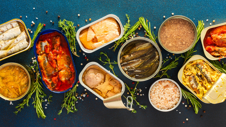Various canned meat and seafood on blue background