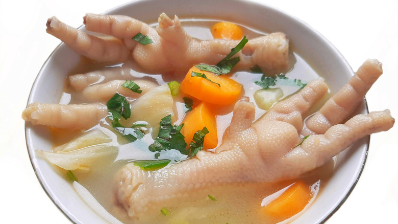 A bowl of chicken feet stew with carrots, celery, and fresh herbs