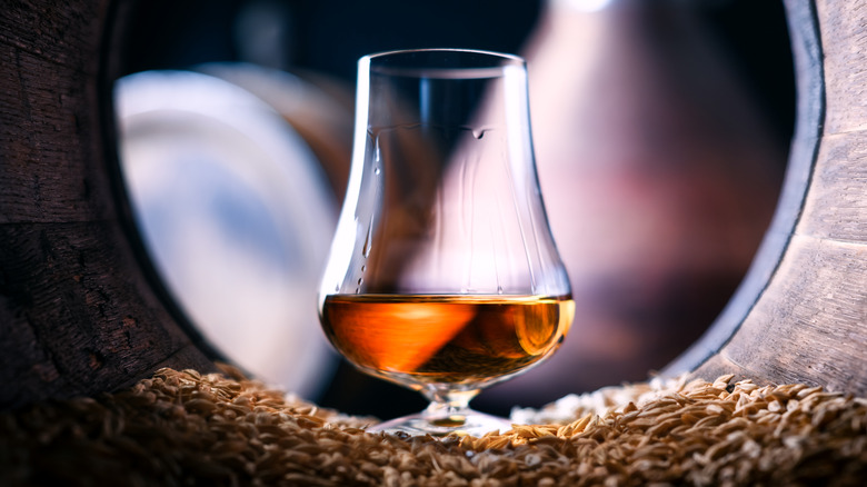 Glass of bourbon in aging barrel surrounded by mash