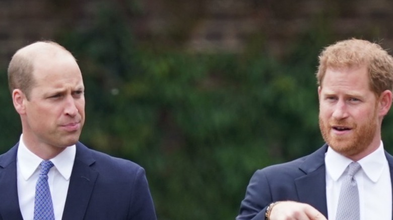 Princes William and Harry
