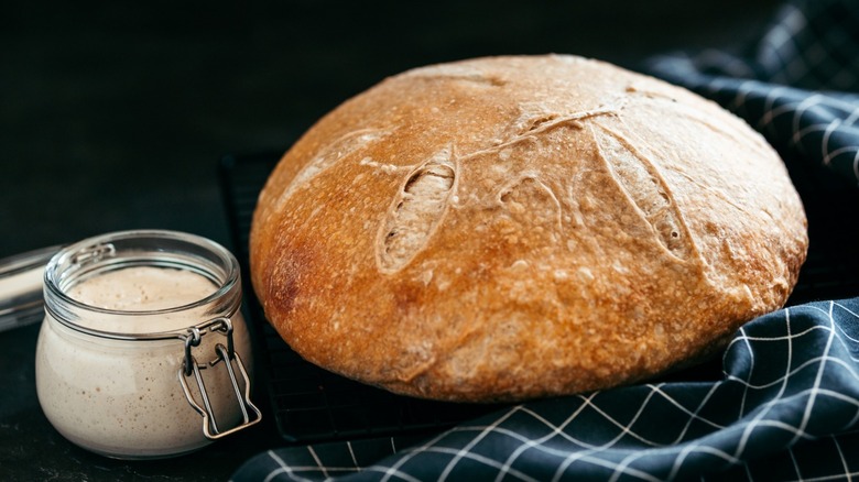 sourdough bread and sourdough starter