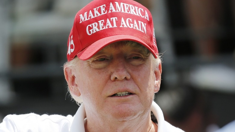 Donald Trump in a MAGA hat