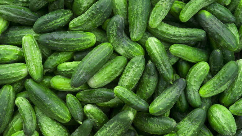 A pile of cucumbers 