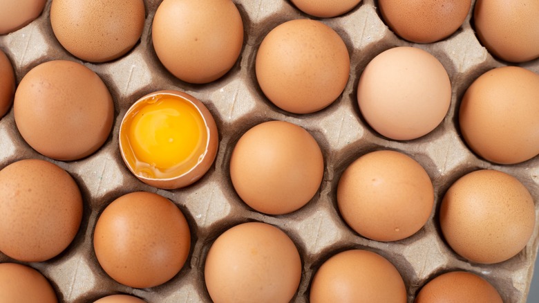 carton of eggs with one yolk revealed