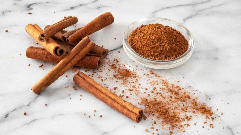 Cinnamon sticks and bowl of ground spice on marble counter