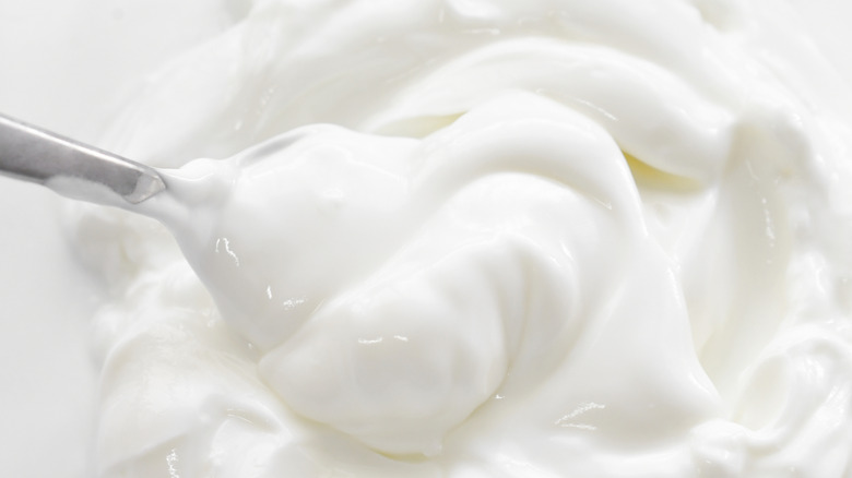 Close-up of Greek yogurt being stirred with spoon