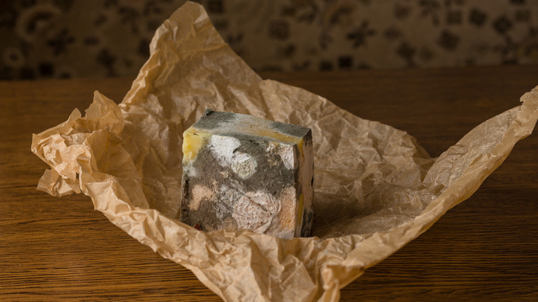 moldy cheese block