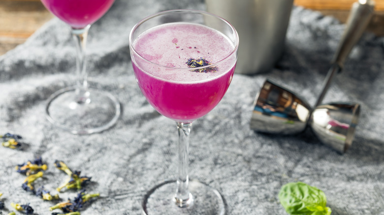 butterfly pea gin cocktail