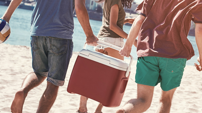 friends carrying beach cooler