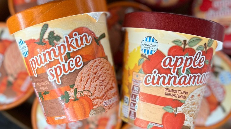 Aldi fall ice cream