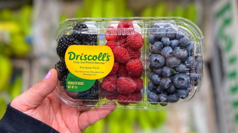 Hand holding Aldi's new pack of berries