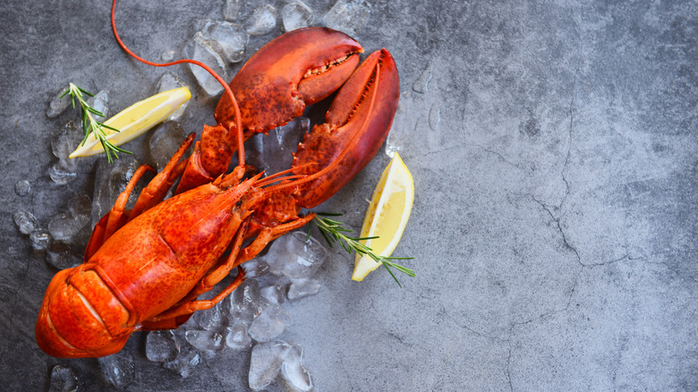Uncooked lobster with lemon