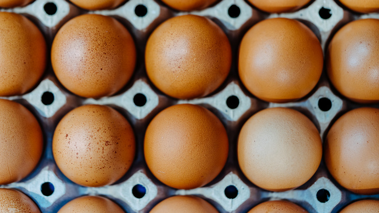 Top down view of eggs