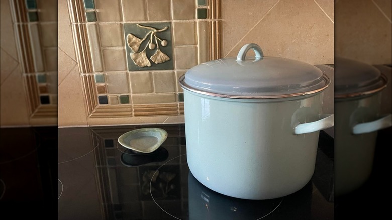 Crofton stock pot on stovetop