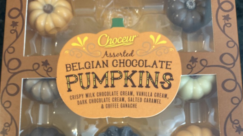assorted belgian chocolate pumpkins
