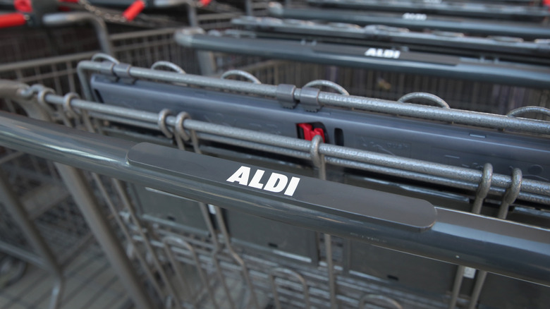 Aldi shopping bag surrounded by groceries