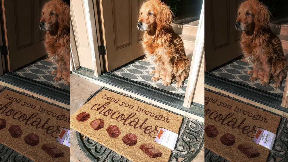 Dog guarding Valentine's door mat