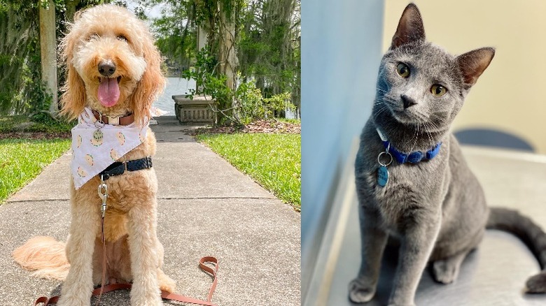 Ruby (right) & Calvin (left)