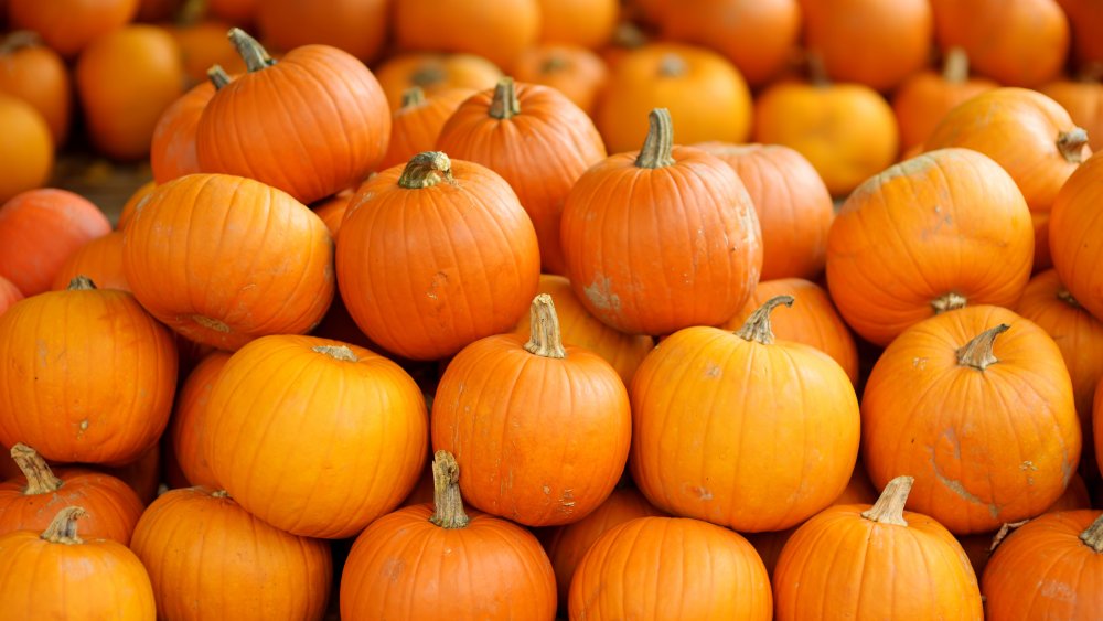  pumpkins