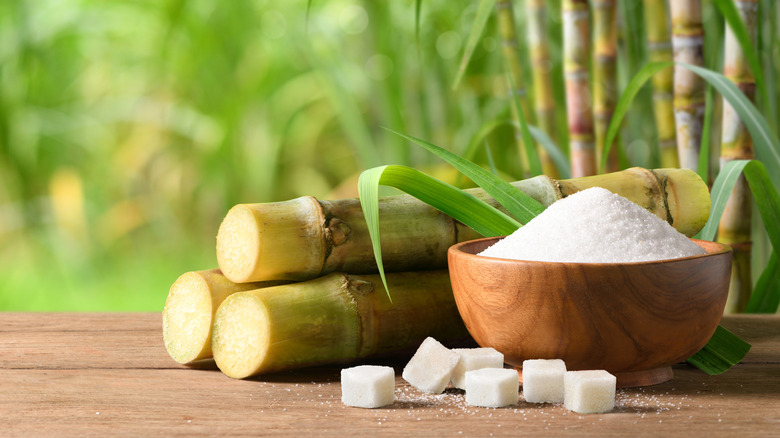 Table sugar in a wooden bowl next to sugar cane and sugar cubes on a wood table