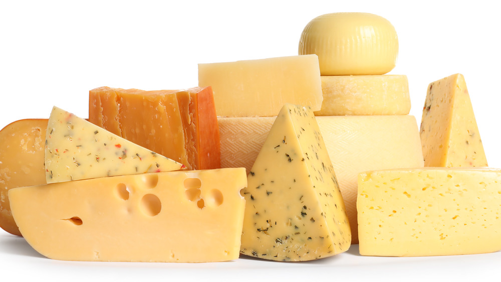 Different kinds of cheeses