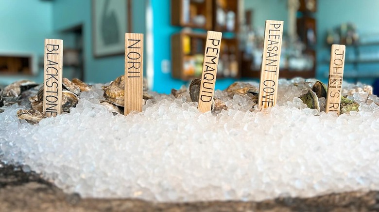 different types of oysters on ice