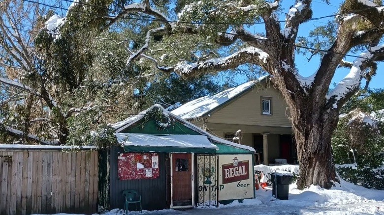 outside of Snake and Jake's Christmas Club Lounge on a snowy day