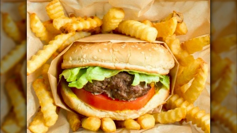 A burger and fries at Salem's Diner