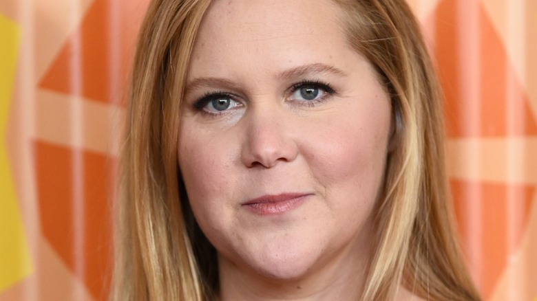 Amy Schumer smiling slightly