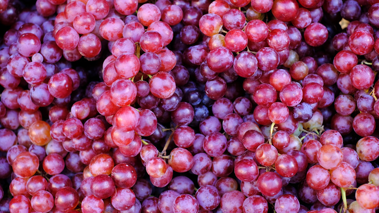 Red grape clusters