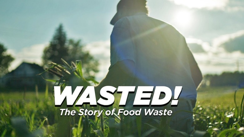 A YouTube poster for the film "Wasted! The Story of Food Waste"